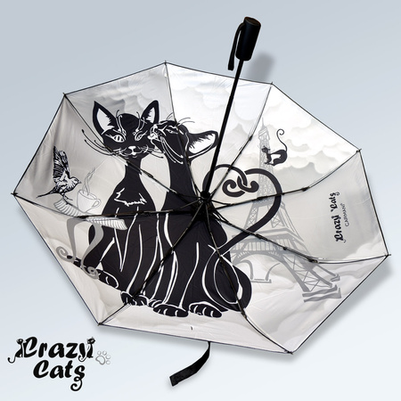 Crazy Cats parasolka składana Koci Świat